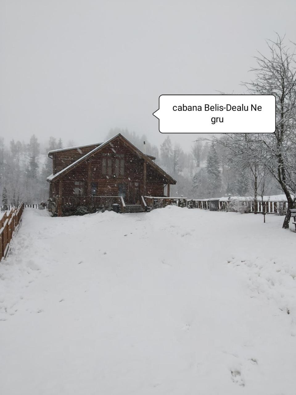 Cabana Belis Dealu Negru Kültér fotó